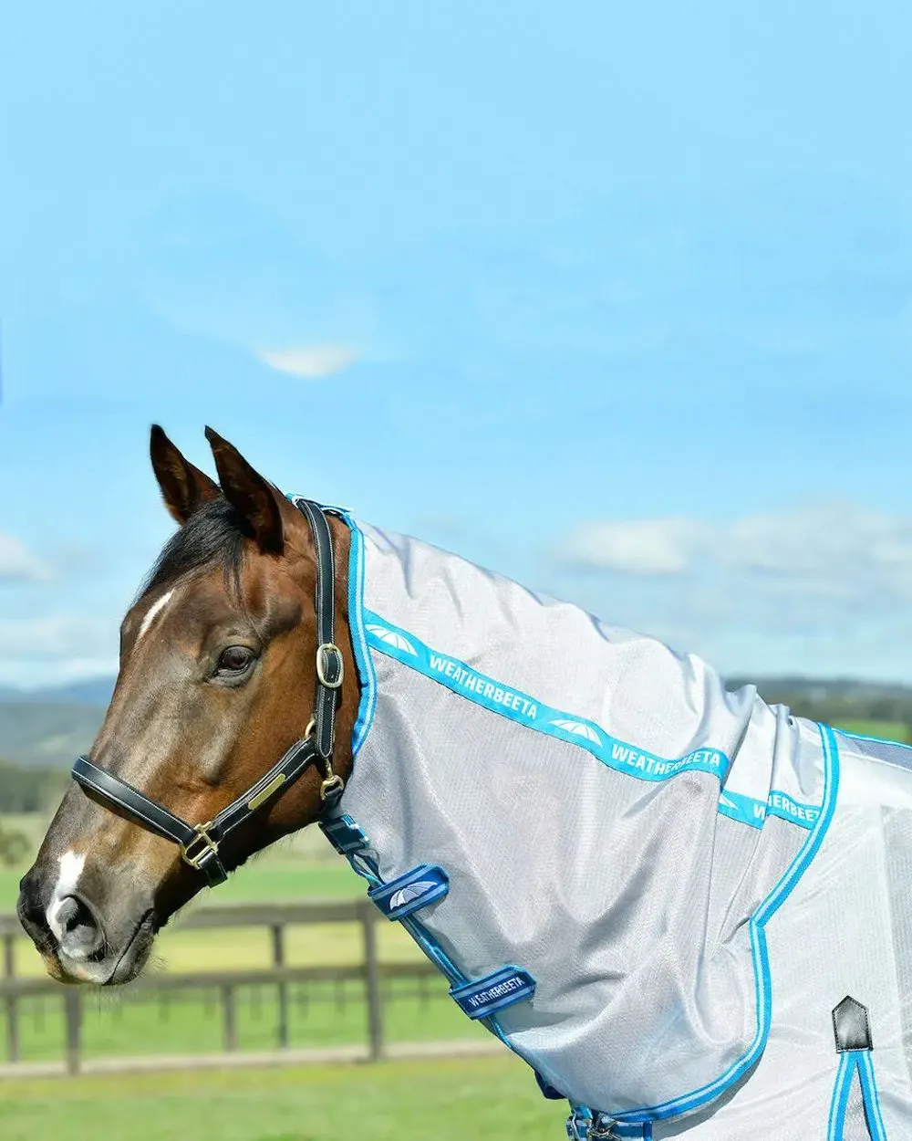 WeatherBeeta ComFiTec Hexi Shield Combo Neck